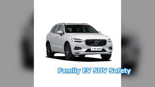 48v ライトハイブリッド EV SUV ファミリーカー