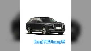 Honqi E-HS9 7 人乗り EV SUV 長距離