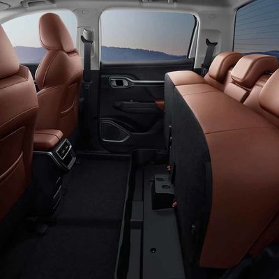 632Km EVの小型トラックのキャンピングカーのビジネス家族のための2023年のGeelyのレーダーRd6
