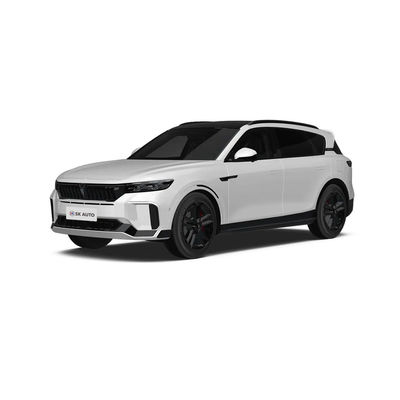 2025 VOYAH フリー 318 中国 新エネルギー自動車 SUV 走行距離 318KM 後輪駆動 四輪駆動