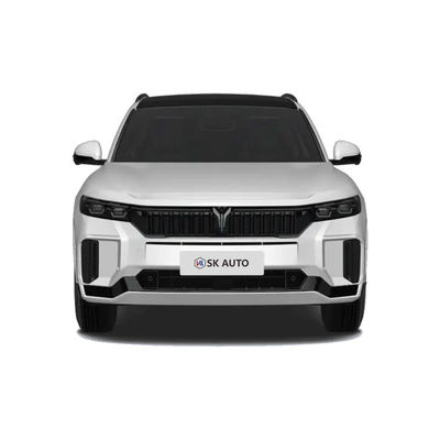 2025 VOYAH フリー 318 中国 新エネルギー自動車 SUV 走行距離 318KM 後輪駆動 四輪駆動