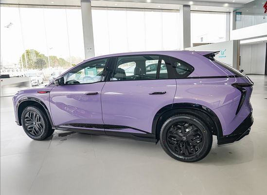 202/253 KW モーター 香港型 リムジン 電動車 最大速度200km/h 長さ4925mm