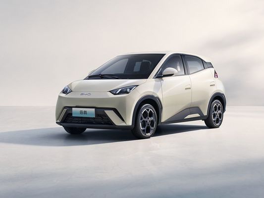 2025 モデル 新型 BYD シガール 充電速度の高い電気自動車 熱売 ミニ EV 長距離,大きなバッテリー 405KM
